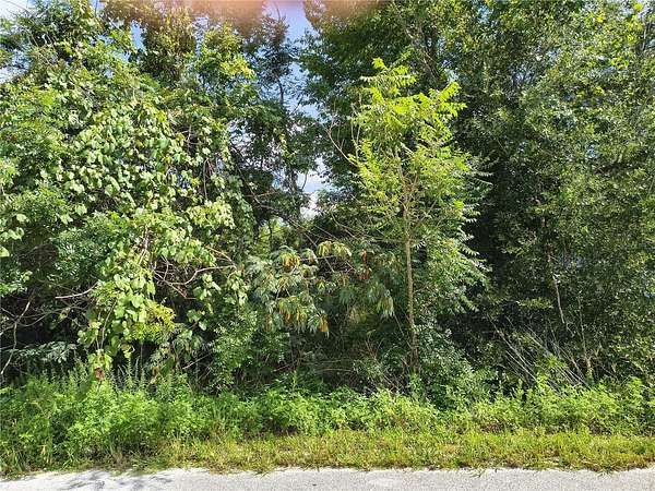 0.17 Acres of Residential Land for Sale in Ocala, Florida