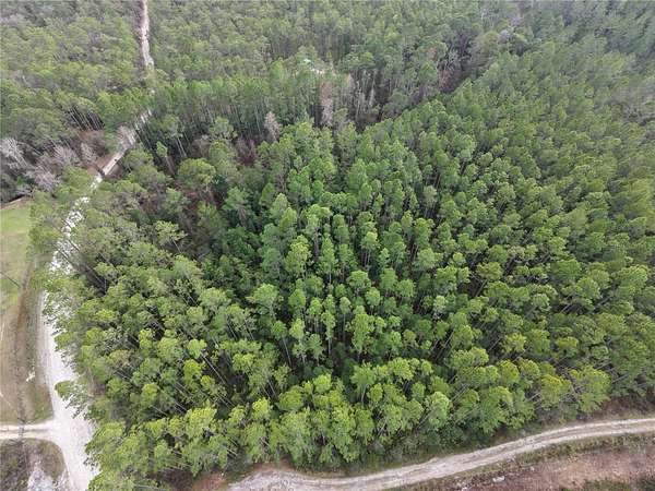 3 Acres of Land for Sale in Fort McCoy, Florida