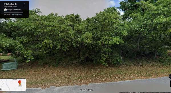 0.28 Acres of Residential Land for Sale in Homosassa, Florida