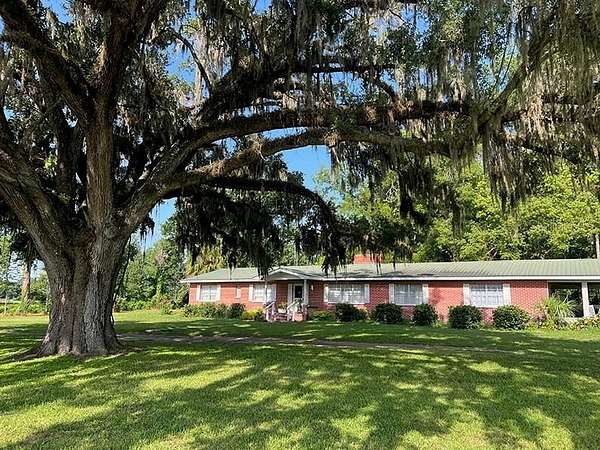 19 Acres of Land with Home for Sale in Williston, Florida