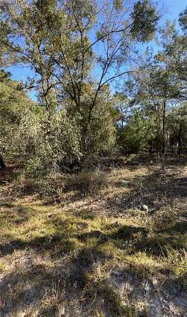 0.23 Acres of Residential Land for Sale in Interlachen, Florida