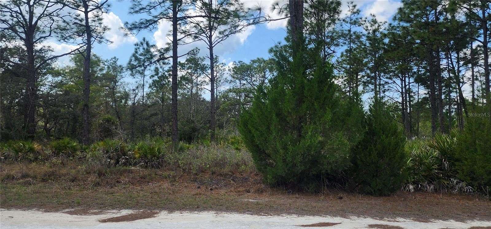 1.2 Acres of Residential Land for Sale in Weeki Wachee, Florida