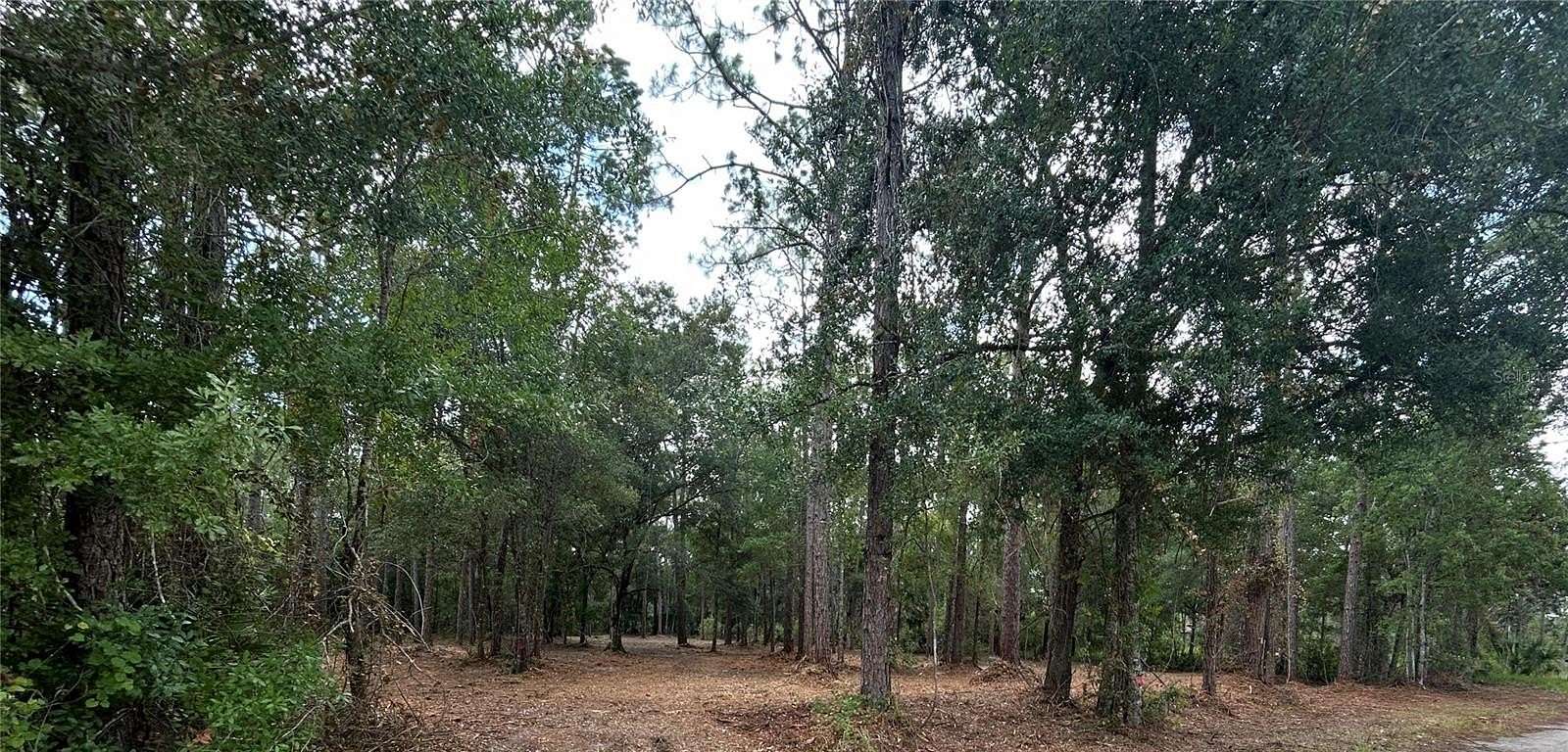 2.53 Acres of Residential Land for Sale in Wesley Chapel, Florida