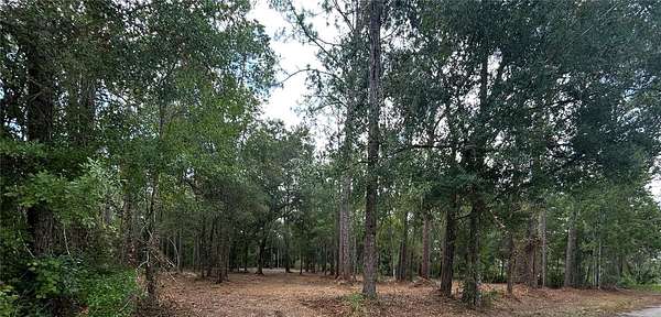 2.53 Acres of Residential Land for Sale in Wesley Chapel, Florida