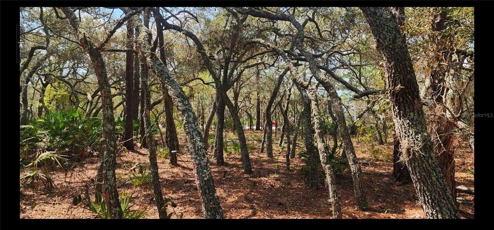 0.34 Acres of Residential Land for Sale in Brooksville, Florida