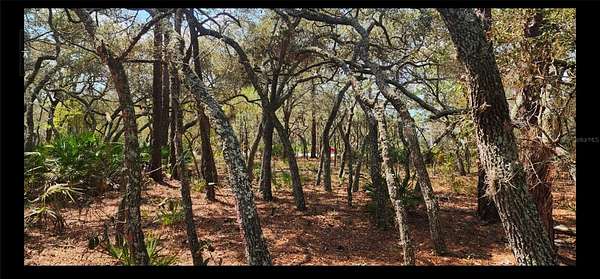 0.34 Acres of Residential Land for Sale in Brooksville, Florida