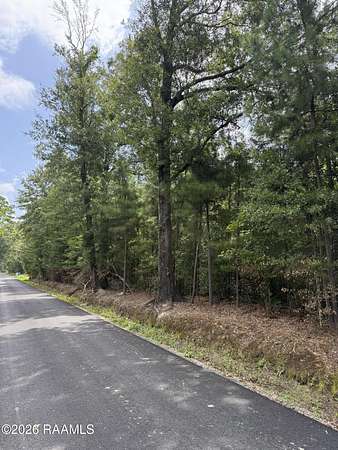 25.5 Acres of Land for Sale in Saint Landry, Louisiana