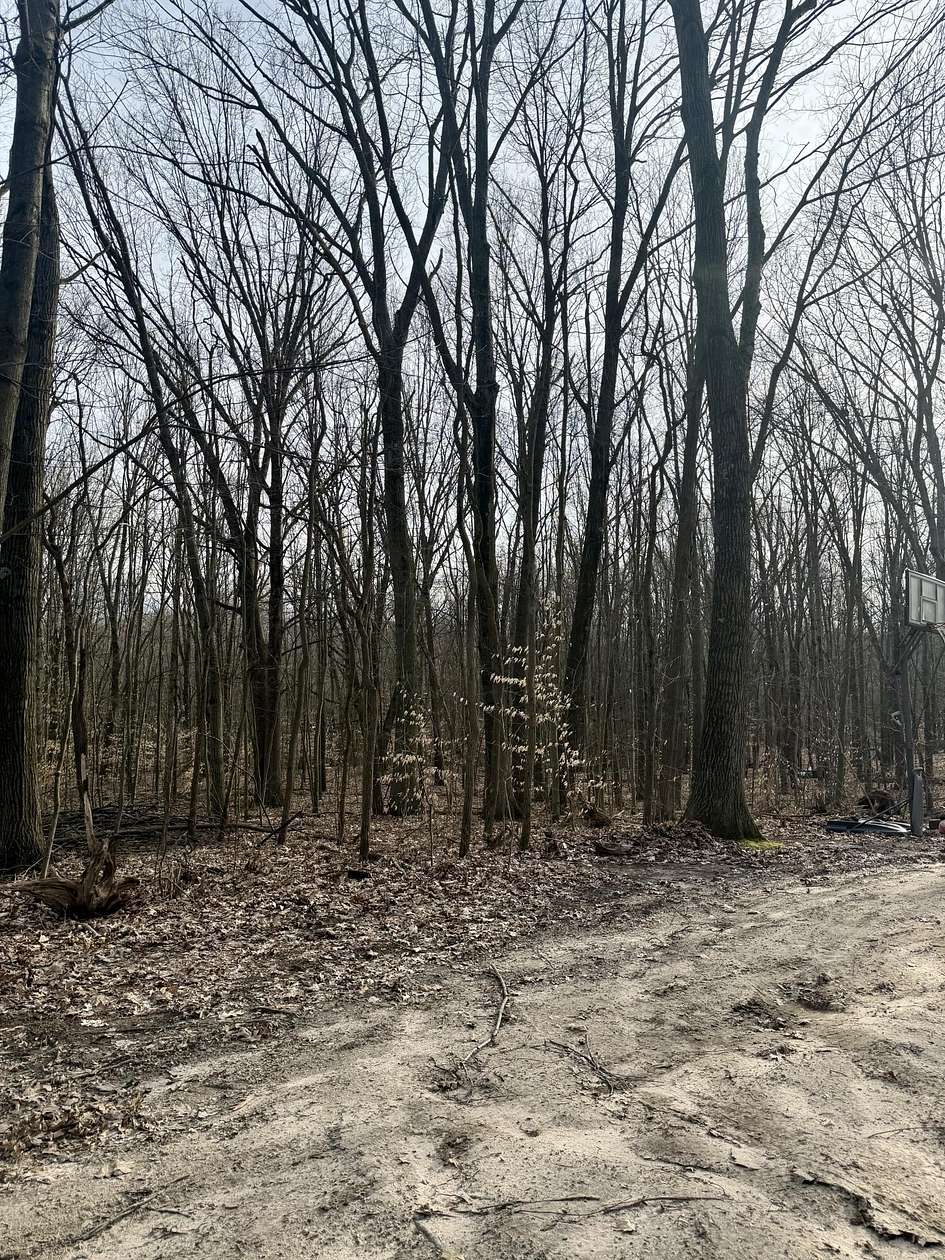 0.92 Acres of Residential Land for Sale in Grand Junction, Michigan
