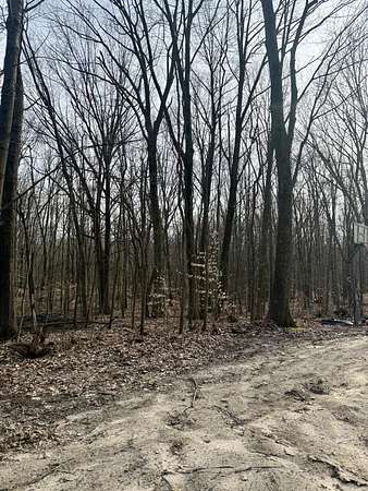 0.92 Acres of Residential Land for Sale in Grand Junction, Michigan
