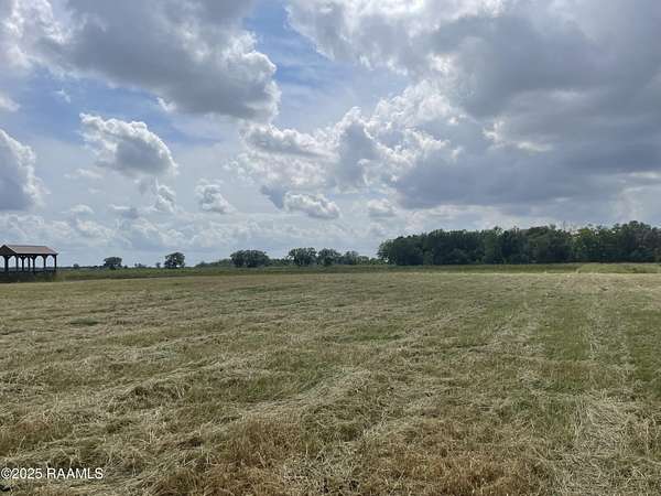 7 Acres of Residential Land for Sale in Rayne, Louisiana