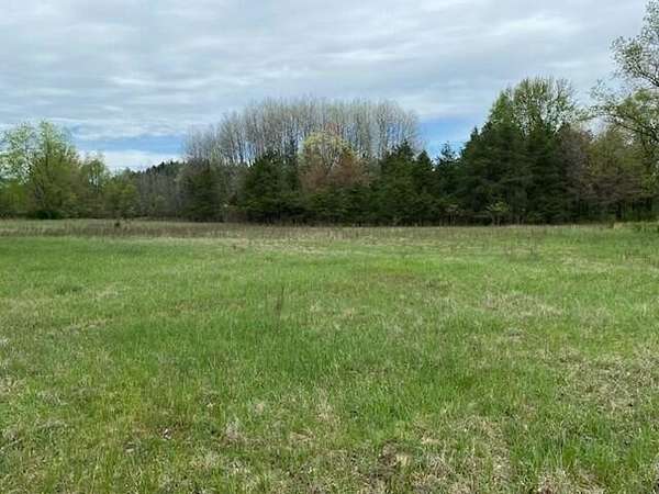 15 Acres of Land for Sale in White Cloud, Michigan