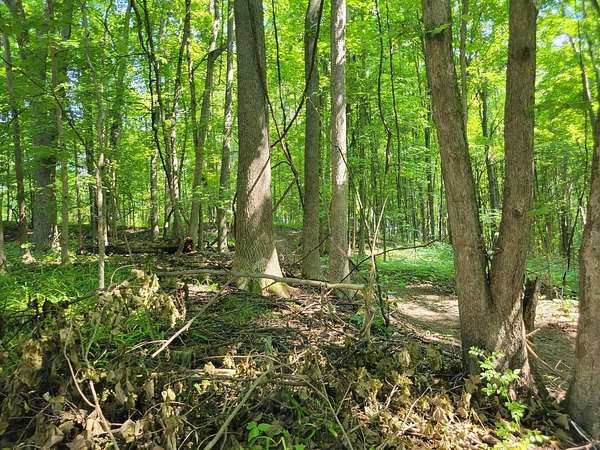 0.4 Acres of Residential Land for Sale in Gobles, Michigan