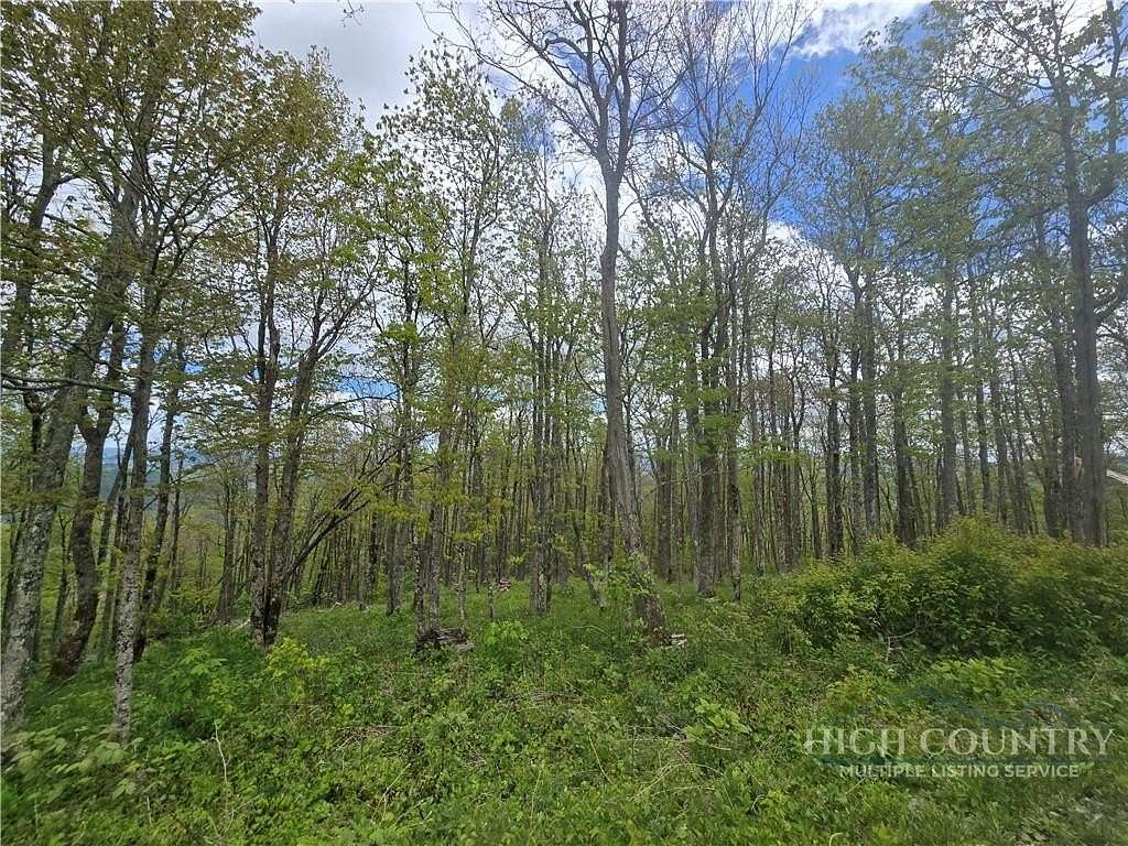 4 Acres of Residential Land for Sale in Todd, North Carolina