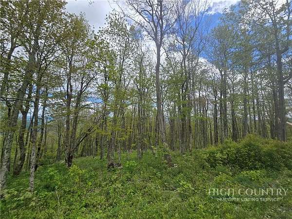 4 Acres of Residential Land for Sale in Todd, North Carolina