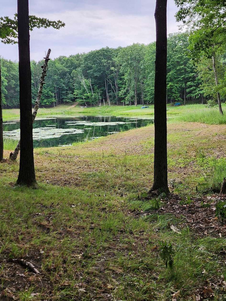0.8 Acres of Land for Sale in Farwell, Michigan