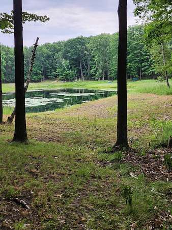 0.8 Acres of Land for Sale in Farwell, Michigan