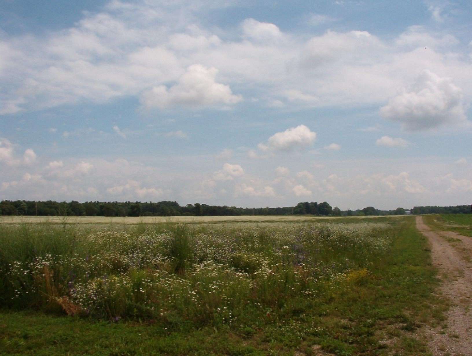 5.5 Acres of Commercial Land for Sale in Kent City, Michigan