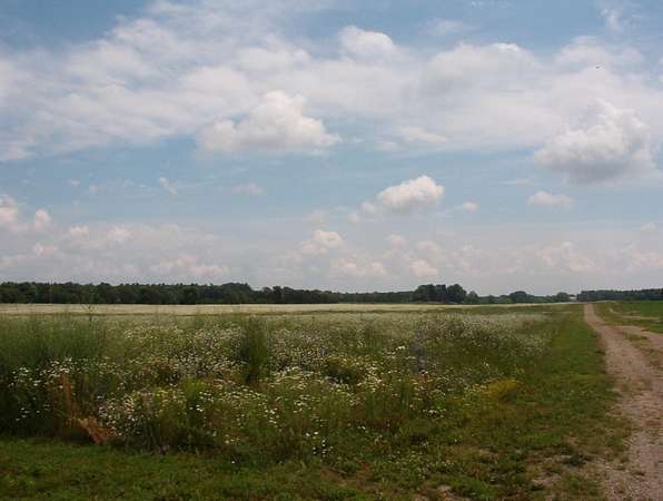 5.5 Acres of Commercial Land for Sale in Kent City, Michigan