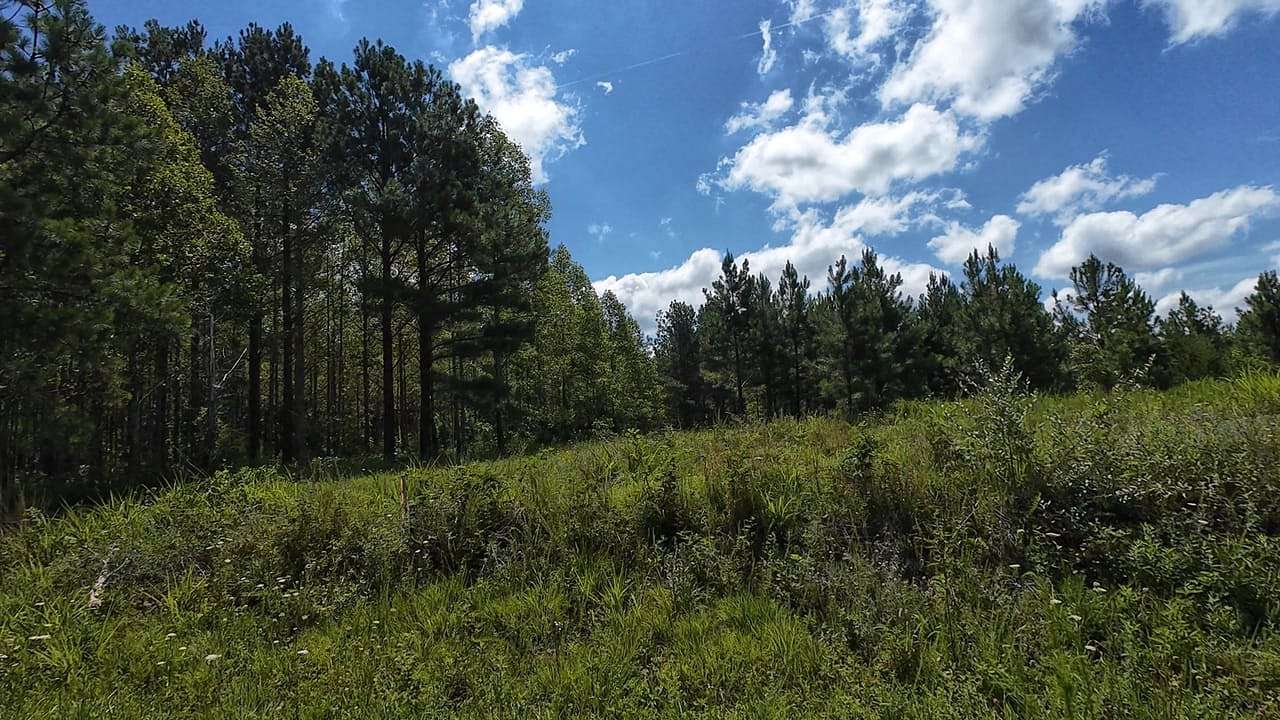 23 Acres of Land for Sale in Java, Virginia