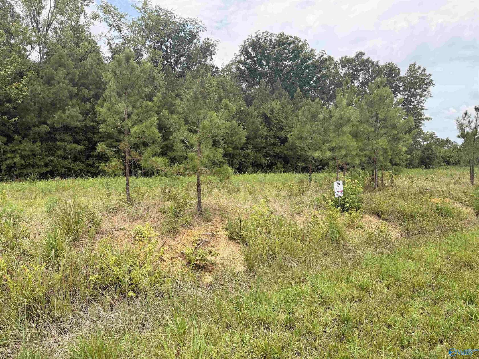 4.4 Acres of Residential Land for Sale in Piedmont, Alabama