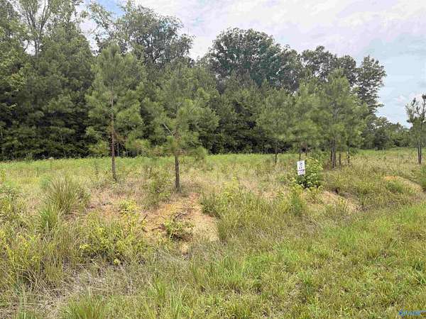 4.4 Acres of Residential Land for Sale in Piedmont, Alabama