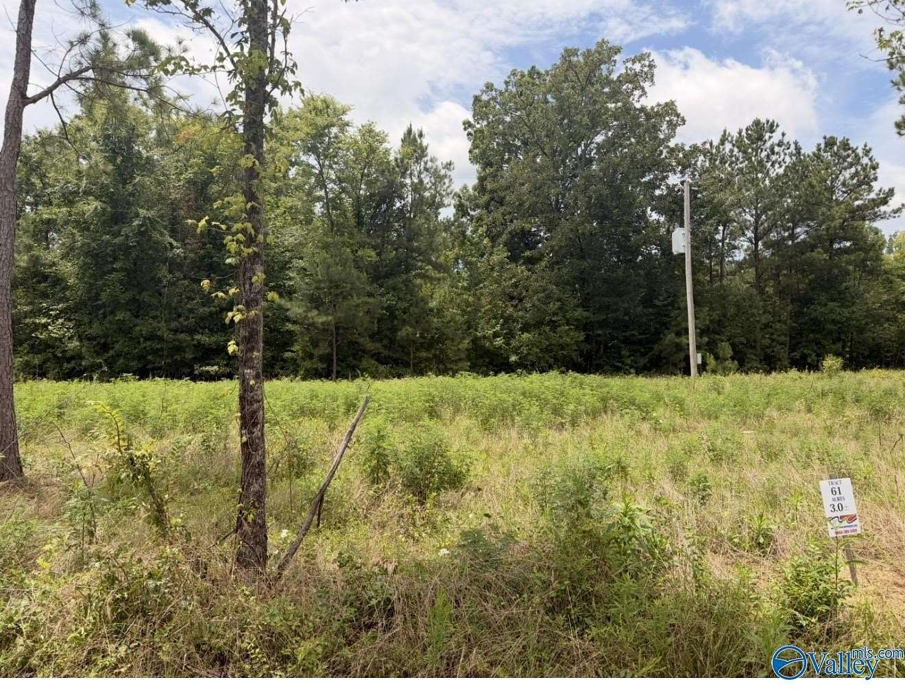 3 Acres of Residential Land for Sale in Piedmont, Alabama