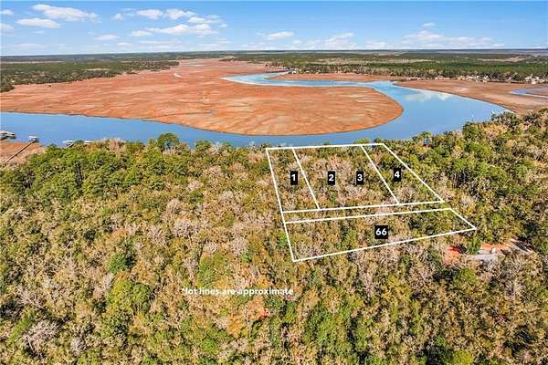 5.46 Acres of Land with Home for Sale in Townsend, Georgia