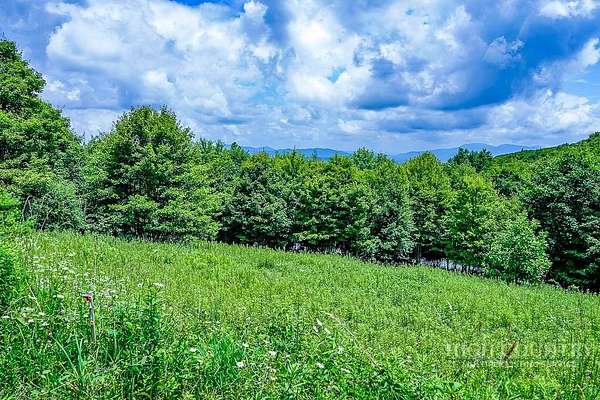 10.6 Acres of Recreational & Residential Land for Sale in Banner Elk, North Carolina