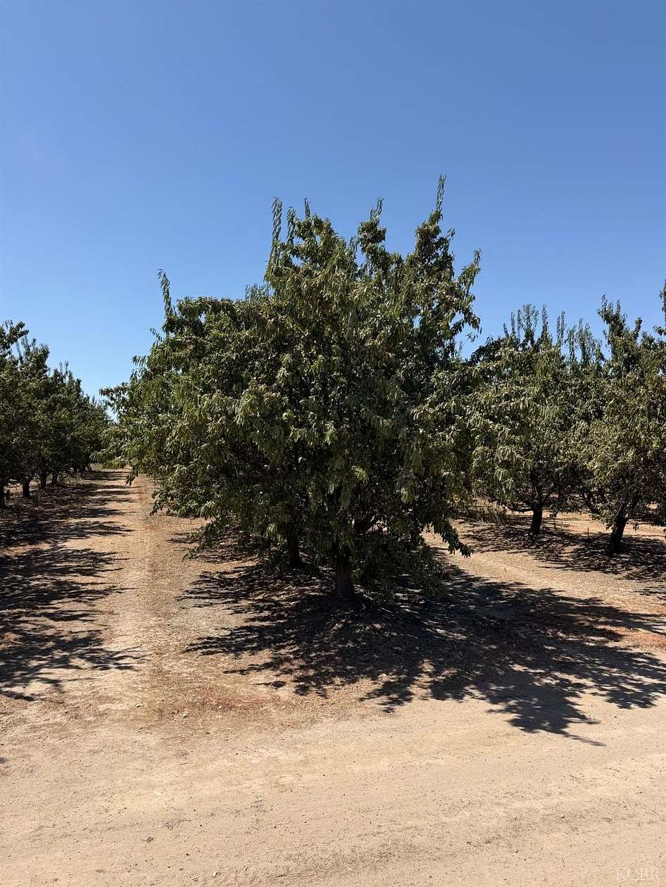 75.3 Acres of Agricultural Land with Home for Sale in Hanford, California