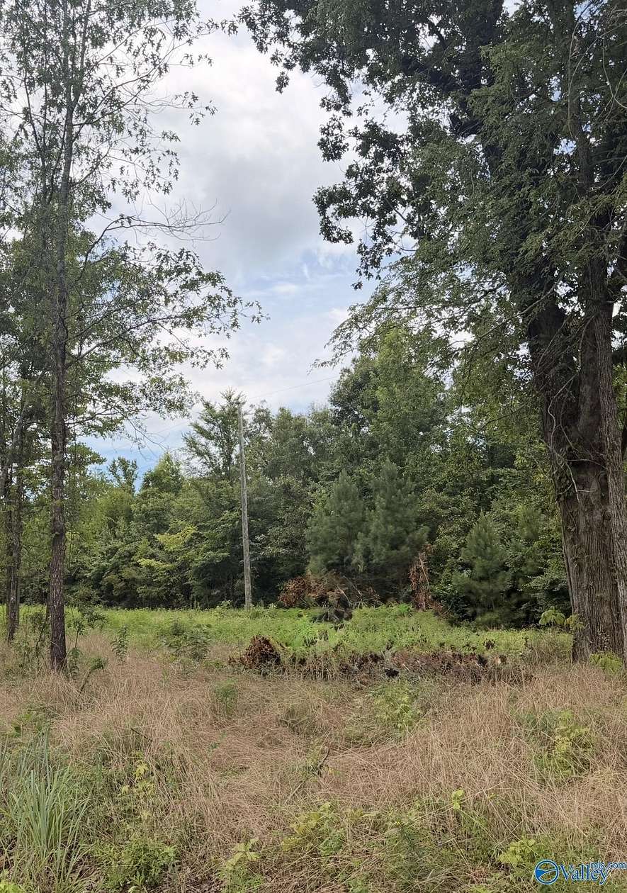 3.4 Acres of Residential Land for Sale in Piedmont, Alabama