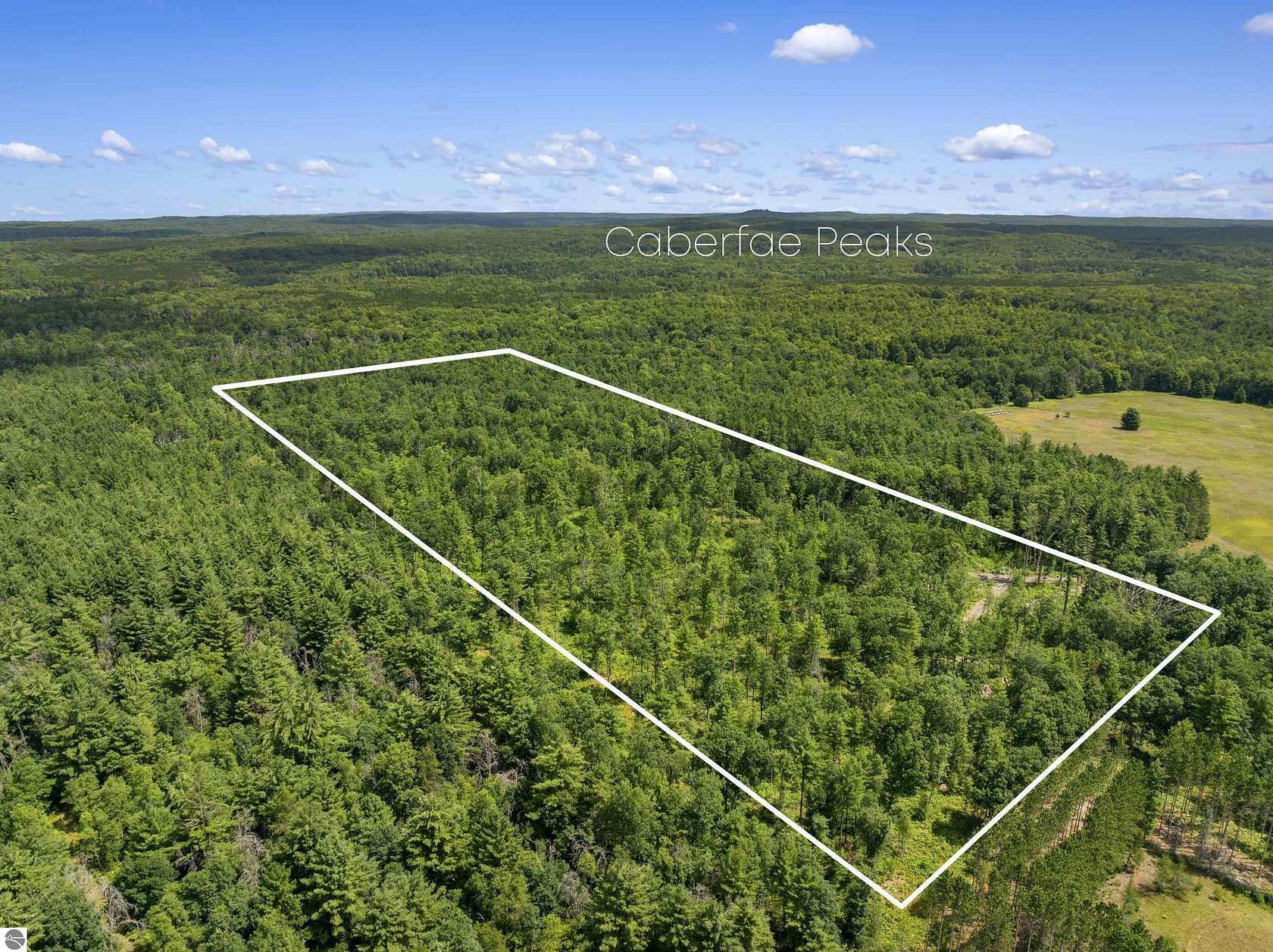30.8 Acres of Recreational & Residential Land for Sale in Wellston, Michigan