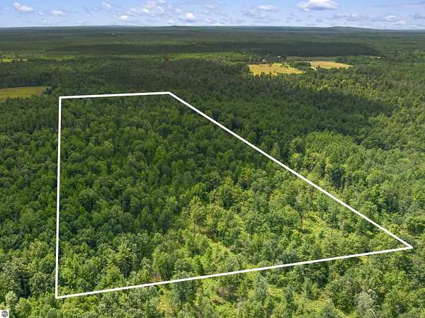 30.8 Acres of Recreational & Residential Land for Sale in Wellston, Michigan
