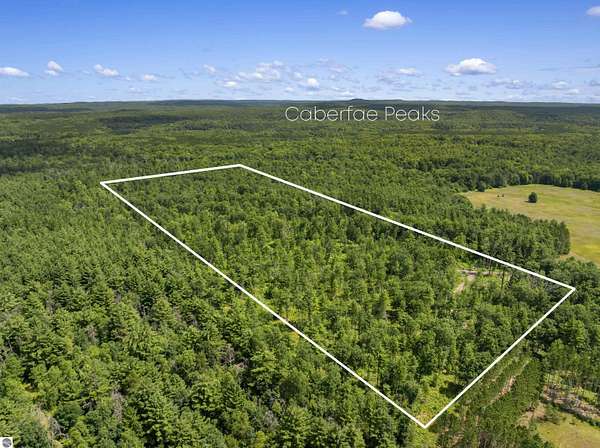 30.8 Acres of Recreational & Residential Land for Sale in Wellston, Michigan