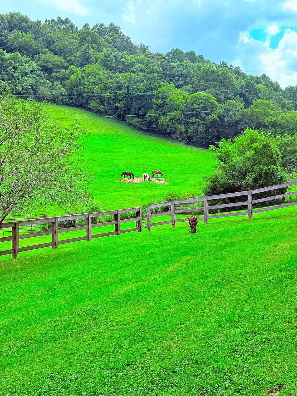 15.4 Acres of Land with Home for Sale in Normandy, Tennessee