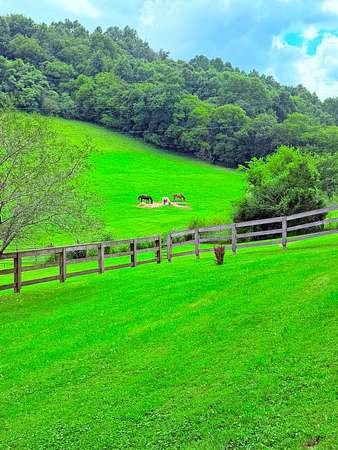 15.4 Acres of Land with Home for Sale in Normandy, Tennessee