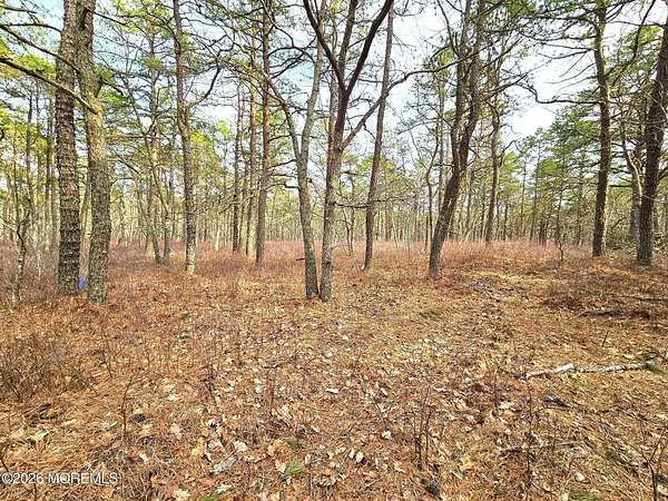 0.91 Acres of Residential Land for Sale in Little Egg Harbor Township, New Jersey