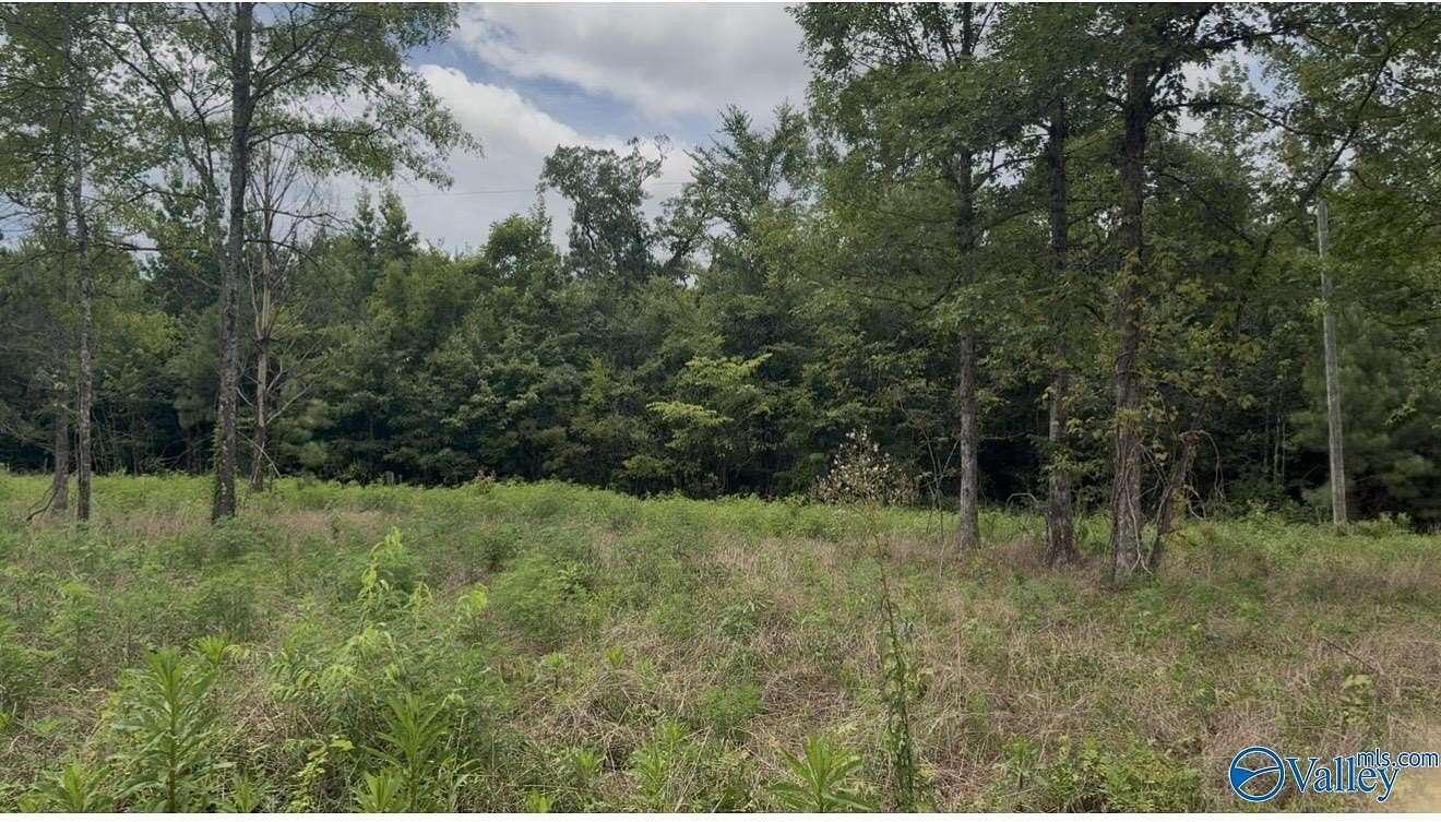 3 Acres of Residential Land for Sale in Piedmont, Alabama
