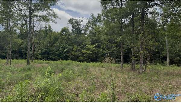 3 Acres of Residential Land for Sale in Piedmont, Alabama