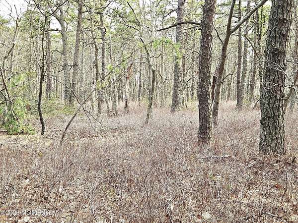 0.91 Acres of Residential Land for Sale in Tuckerton, New Jersey