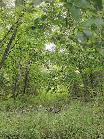 10 Acres of Residential Land for Sale in Urbana, Missouri