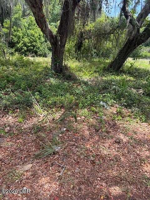 1.66 Acres of Residential Land for Sale in Eustis, Florida