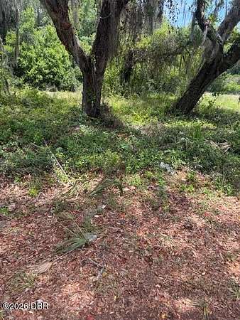 1.66 Acres of Residential Land for Sale in Eustis, Florida