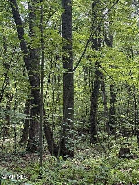 10 Acres of Residential Land for Sale in Schellsburg, Pennsylvania