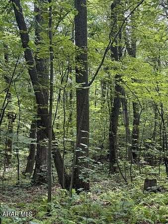 10 Acres of Residential Land for Sale in Schellsburg, Pennsylvania