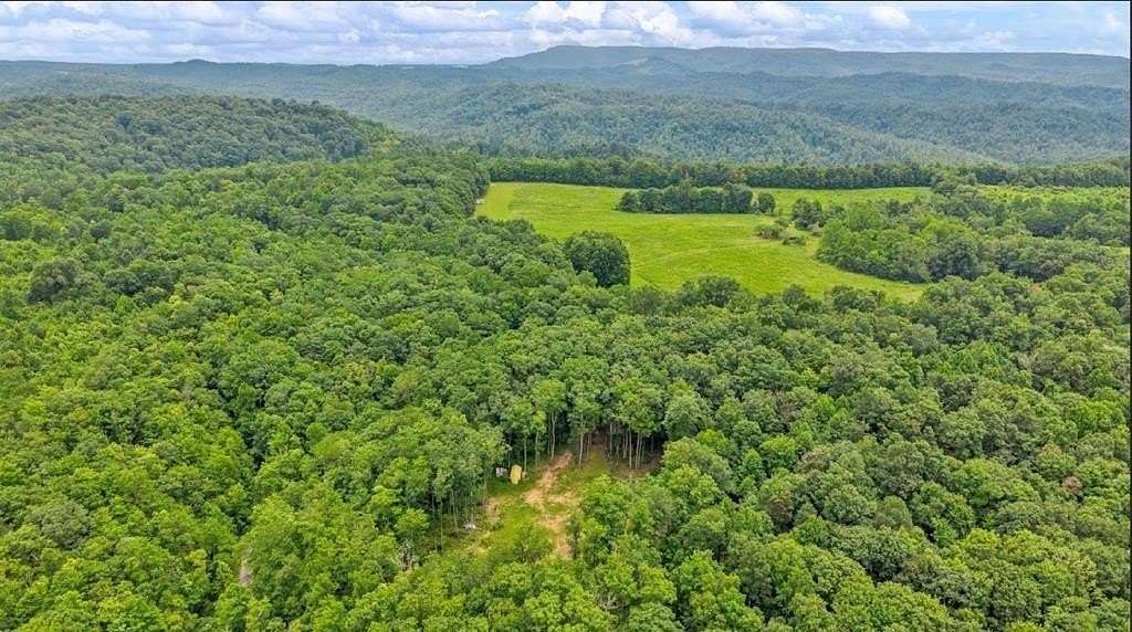 75.3 Acres of Recreational & Residential Land for Sale in Odd, West Virginia