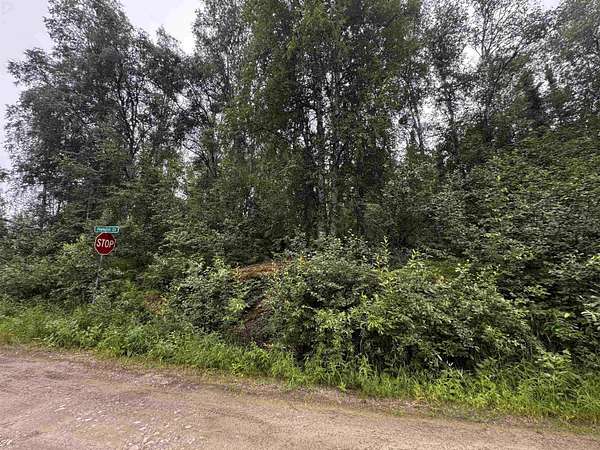 1 Acre of Residential Land for Sale in Fairbanks, Alaska