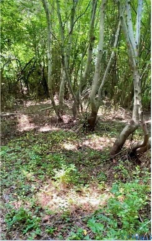 5 Acres of Residential Land for Sale in Blackstone, Virginia