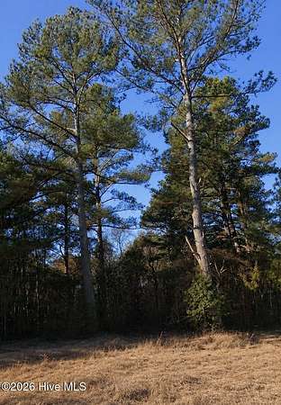 1 Acre of Residential Land for Sale in Littleton, North Carolina