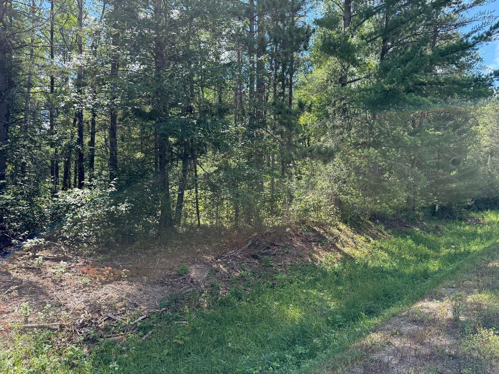 6.6 Acres of Land for Sale in Laporte, Minnesota