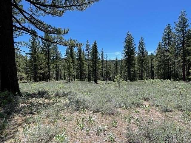 20 Acres of Recreational Land for Sale in Sierraville, California